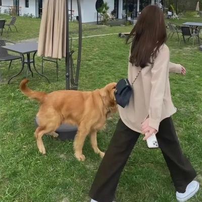 少年同盟第二季
